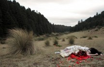 Daniela Edburg: The Remains Of The Day