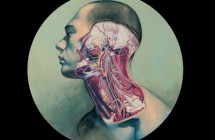 Fernando Vicente Vanitas: Vanitas