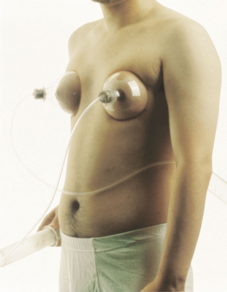 009-enlarging-breasts-2002.jpg