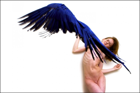 046-blue-bird-on-laura
