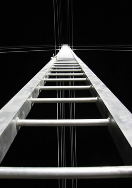 059-the-ladder-by-mark-griffin-2005.jpg
