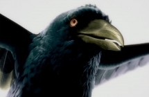 Jon Baxter: Fat Freddy’s Drop — Blackbird